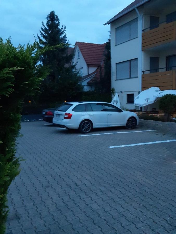 Landgasthof Rose Hotel ดิทซีเงน ภายนอก รูปภาพ