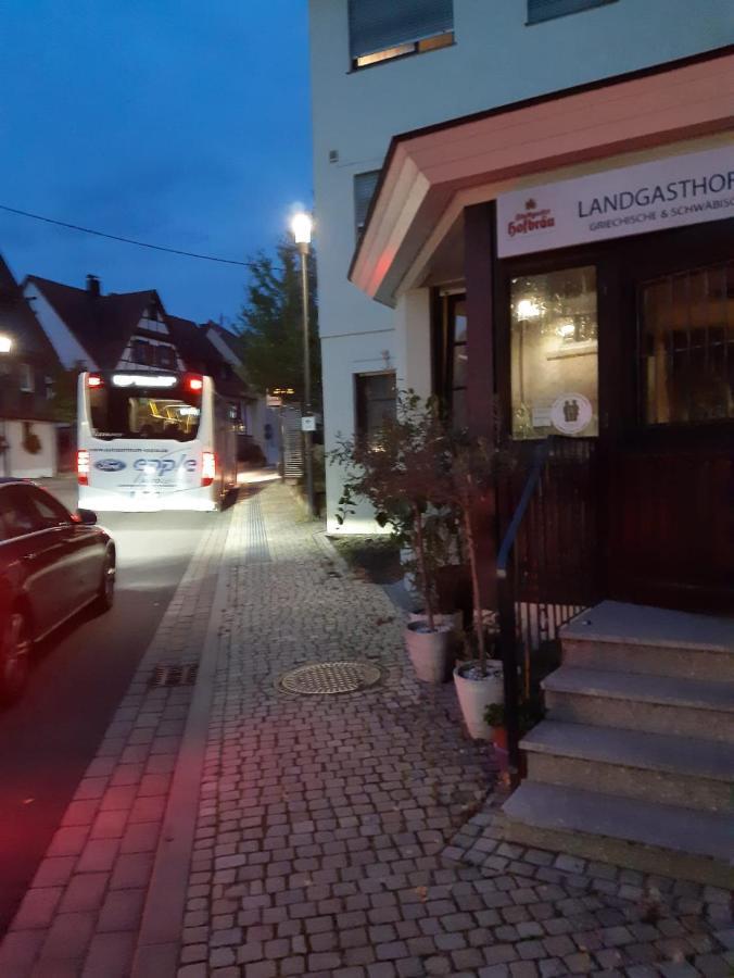 Landgasthof Rose Hotel ดิทซีเงน ภายนอก รูปภาพ