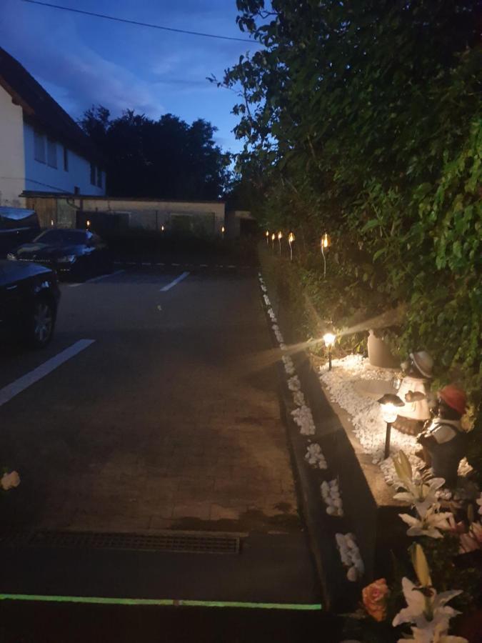 Landgasthof Rose Hotel ดิทซีเงน ภายนอก รูปภาพ