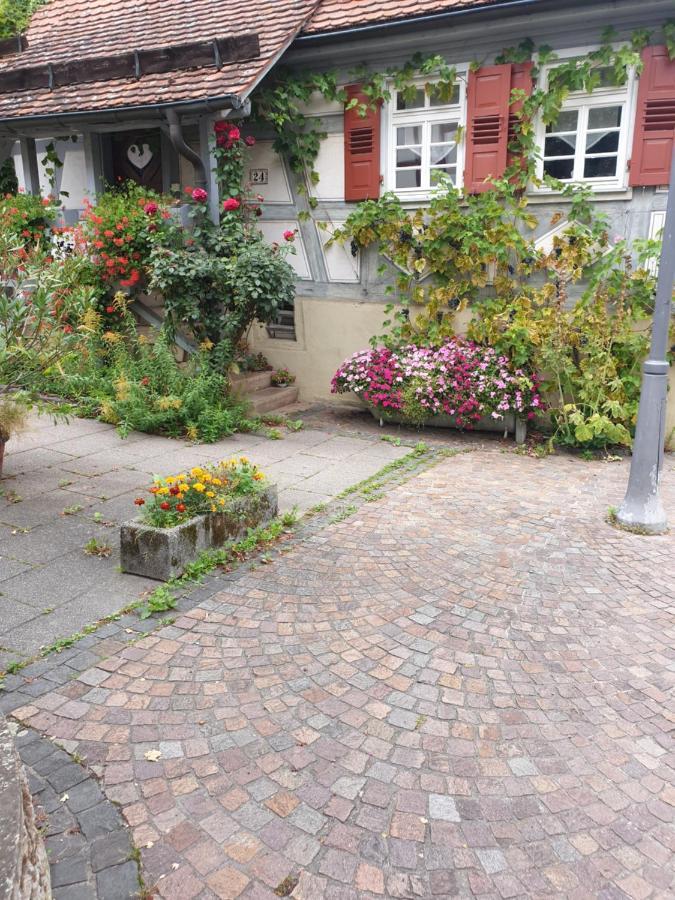 Landgasthof Rose Hotel ดิทซีเงน ภายนอก รูปภาพ